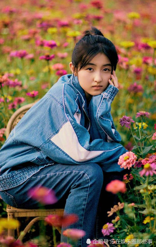 南美以美大学金融文凭证书